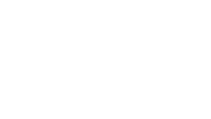 BEVERLY HILLS INTERNATIONAL FILM FESTIVAL